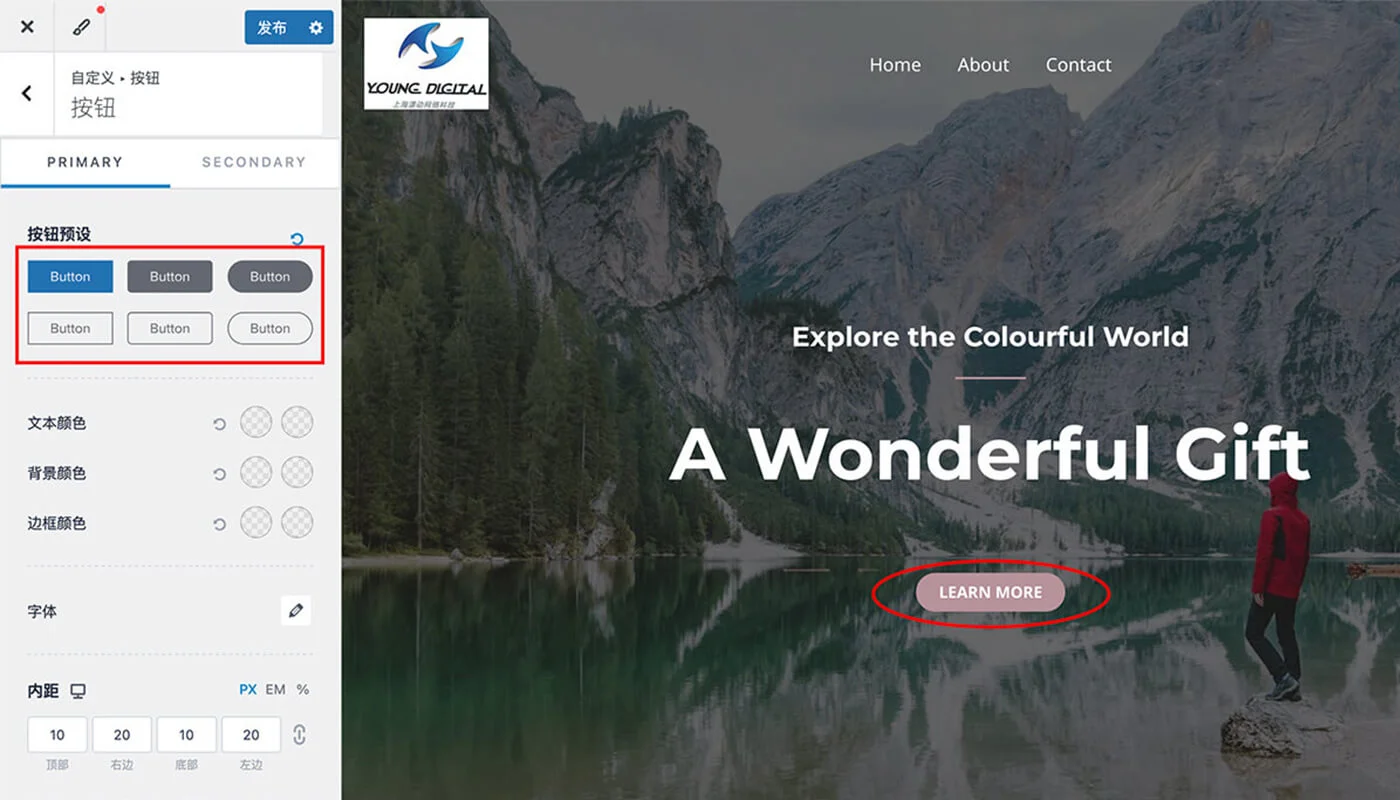 Astra 使用教程六