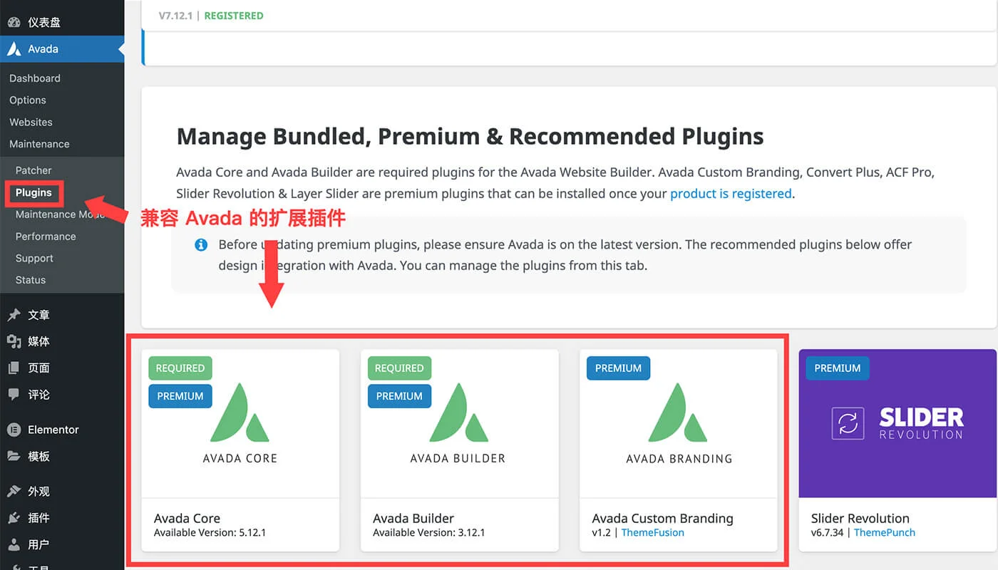 avada 安装必要插件二