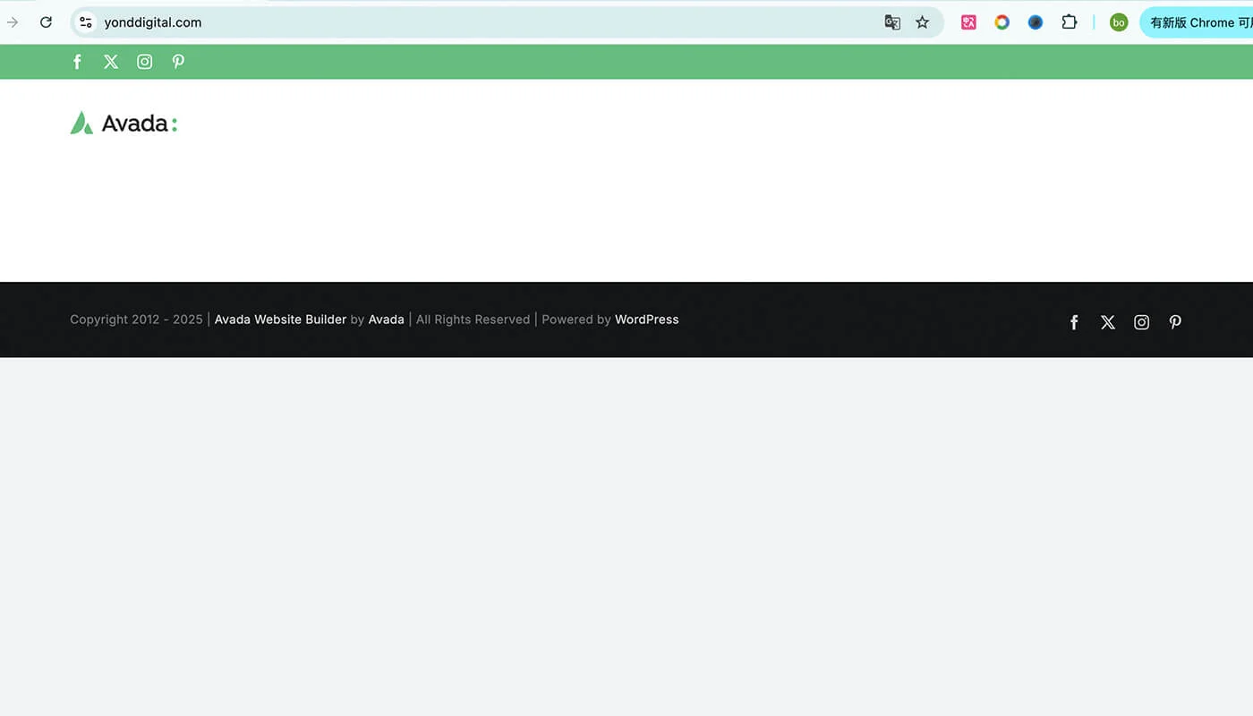 Avada 主题安装流程四