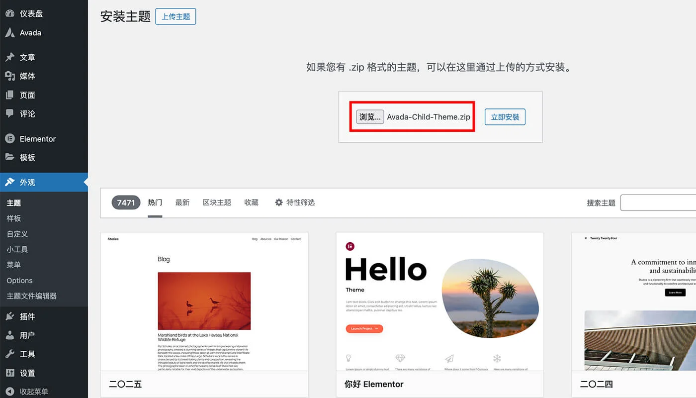 Avada 主题安装流程二