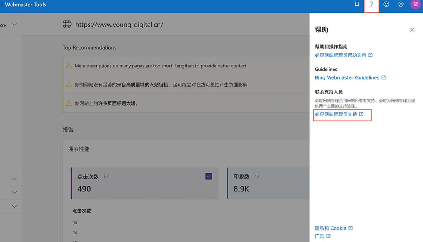 Bing 站长平台设置流程一