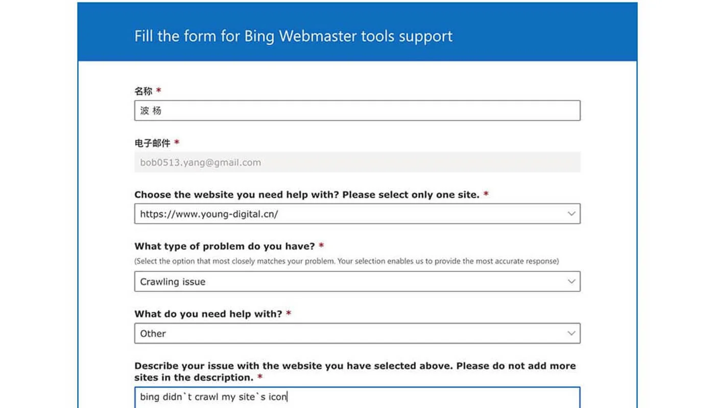 Bing 站长平台设置流程三