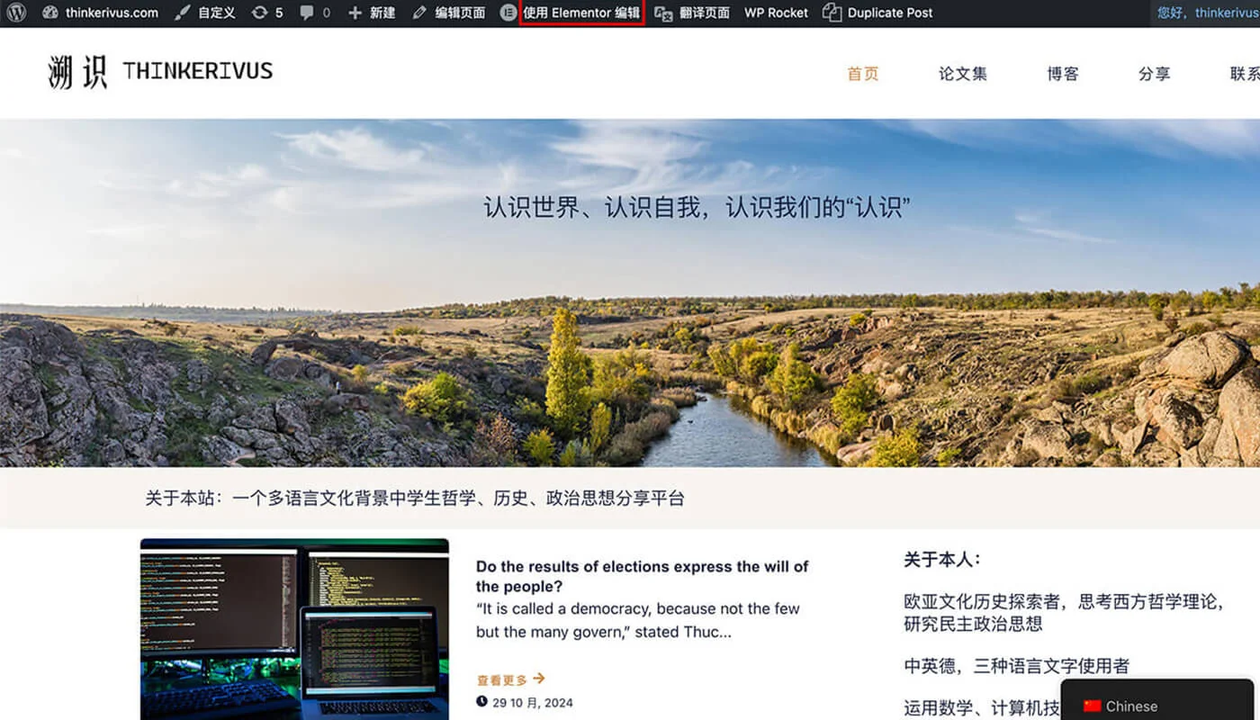 TranslatePress 插件功能三