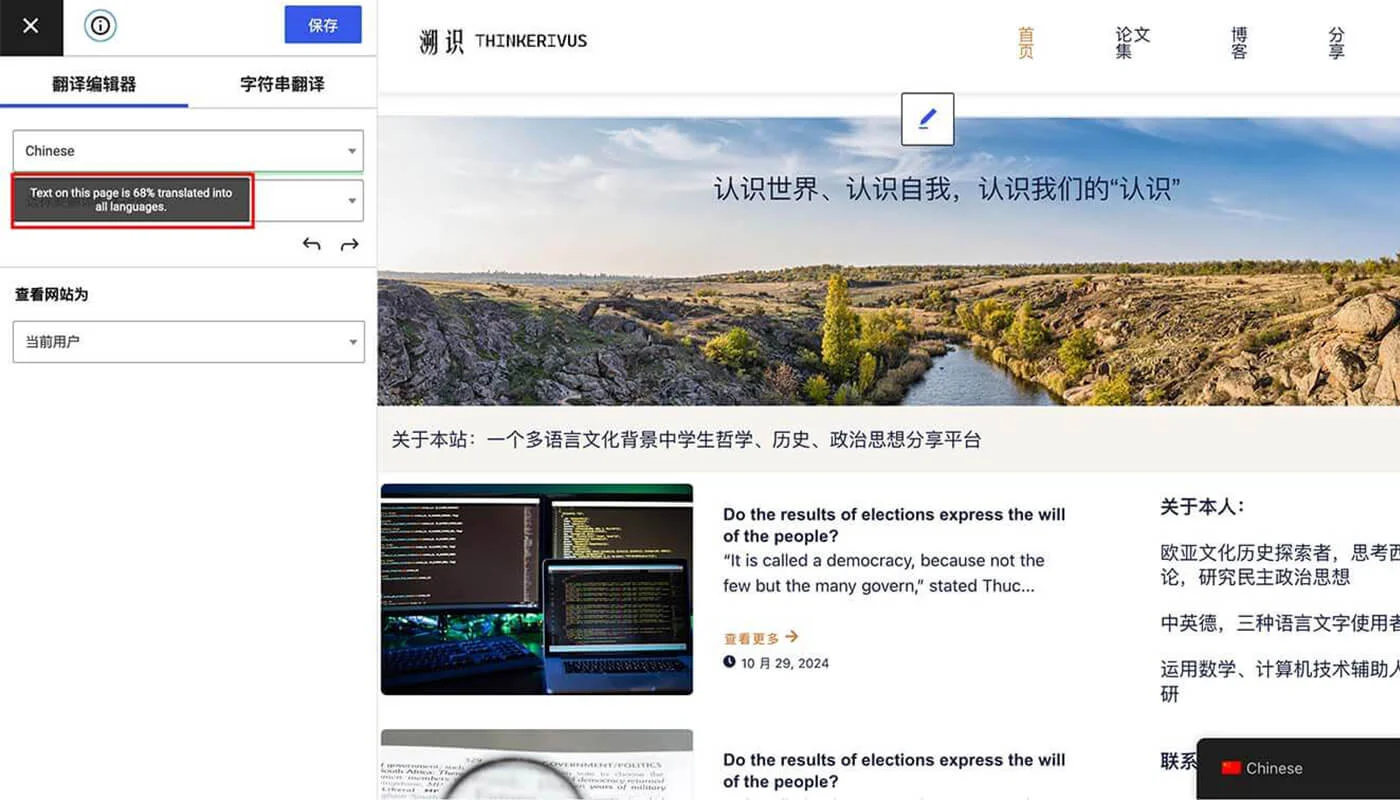 TranslatePress 插件功能五